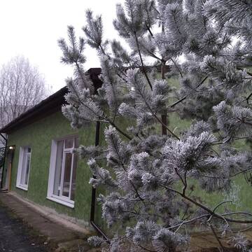 Фото Апартаменты Працюємо Lutskyj zamok г. Луцк 1